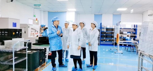 攜手共進，共創未來——深圳擔保集團蒞臨云里物里考察指導軟件開發工作